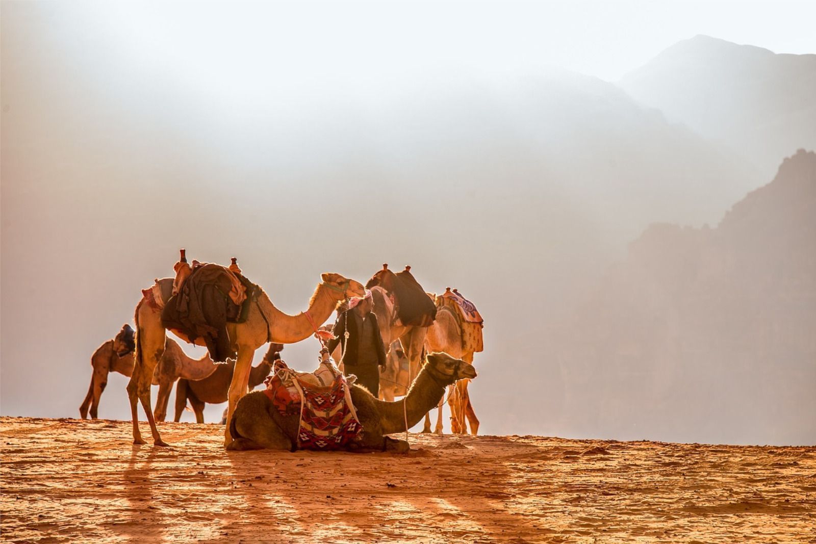 Agencia de viajes Orient Tours